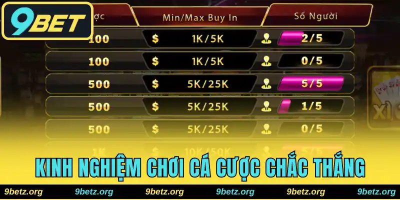 Tổng hợp kinh nghiệm chơi cá cược trực tuyến chắc thắng